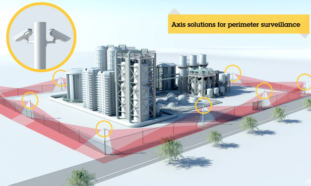 11d | 2.5D animation
